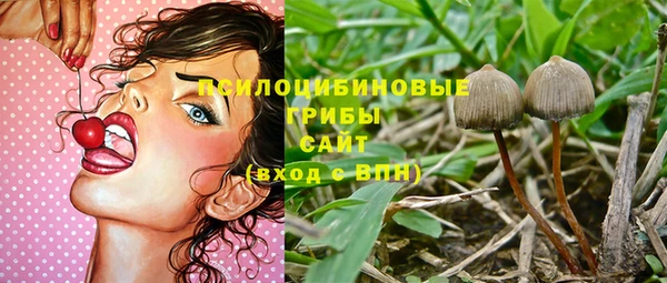 PSILOCYBIN Балабаново