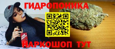 apvp Берёзовский