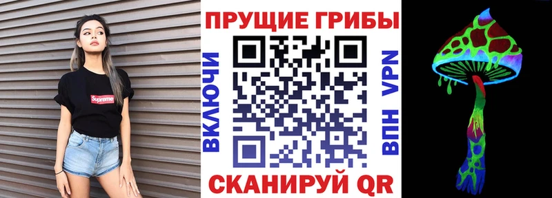 Галлюциногенные грибы Psilocybe Дербент