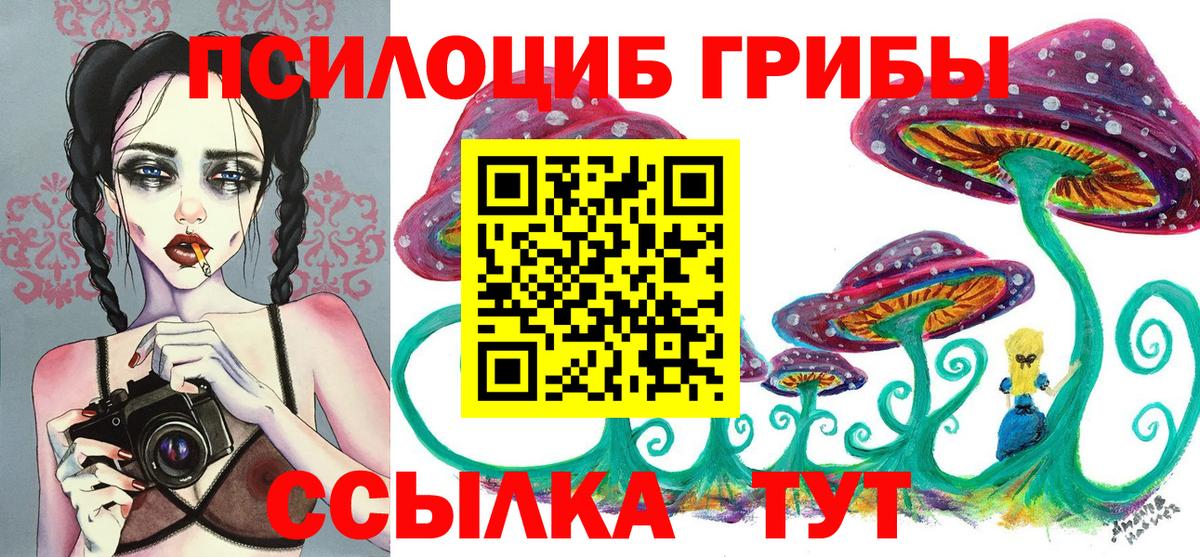 Псилоцибиновые грибы GOLDEN TEACHER Дербент