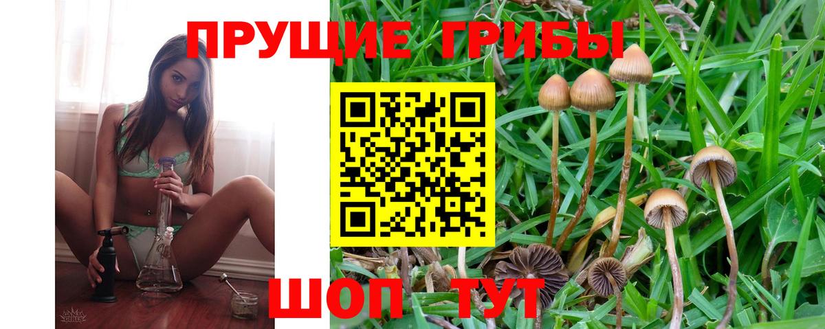 Дербент  Псилоцибиновые грибы Magic Shrooms  Вход с VPN 