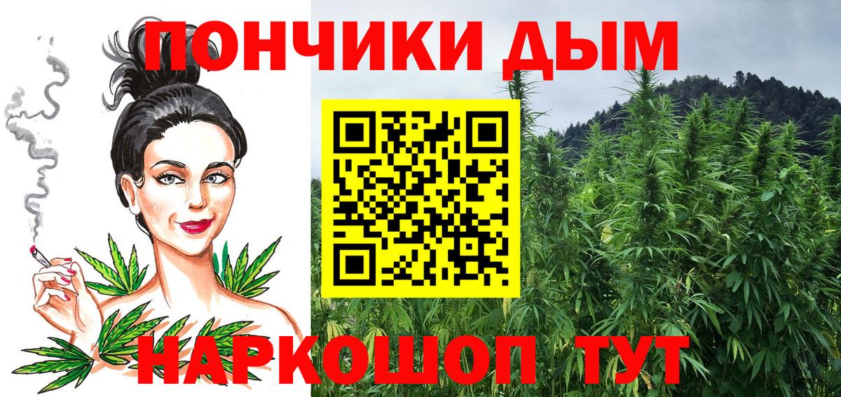 Конопля марихуана Дербент